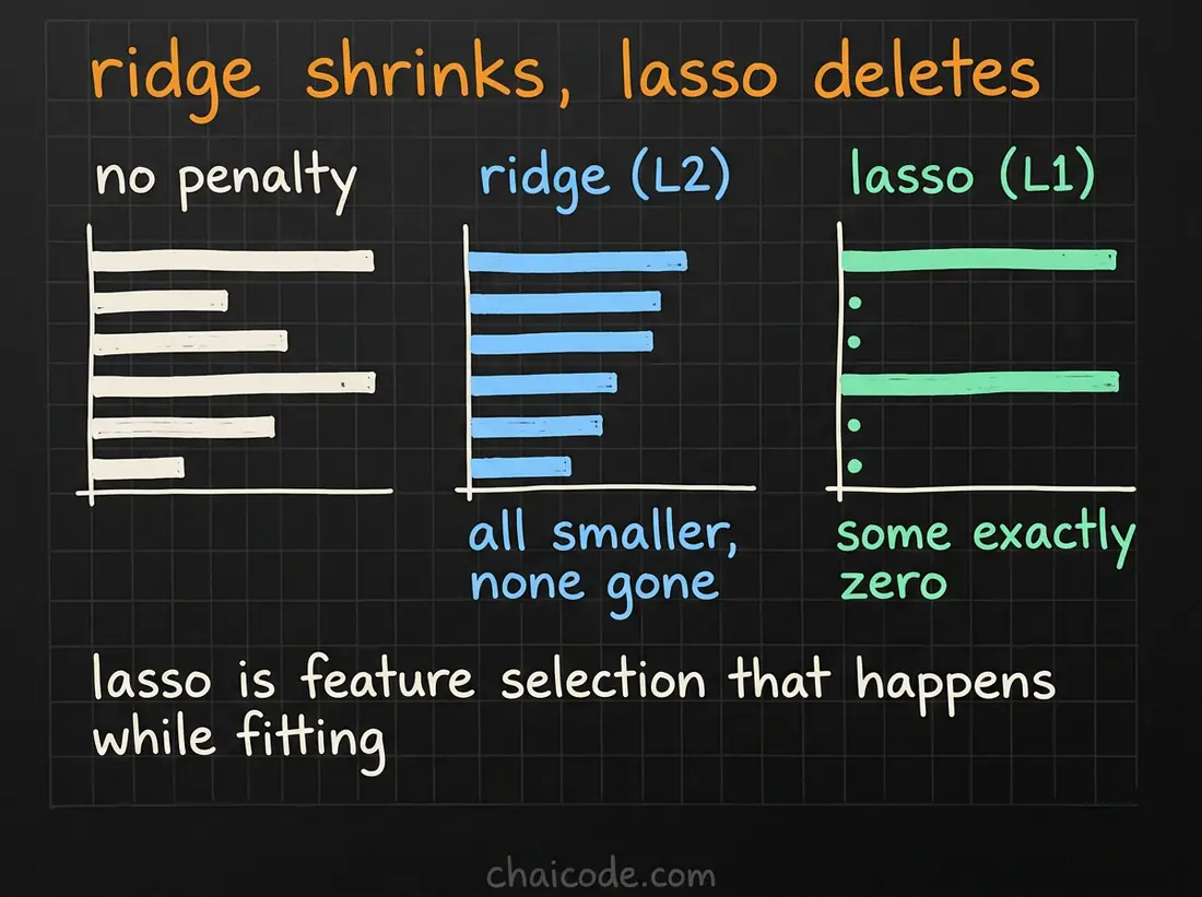 Hand-drawn notes showing ridge shrinking every coefficient toward zero while lasso drives some of them exactly to zero.