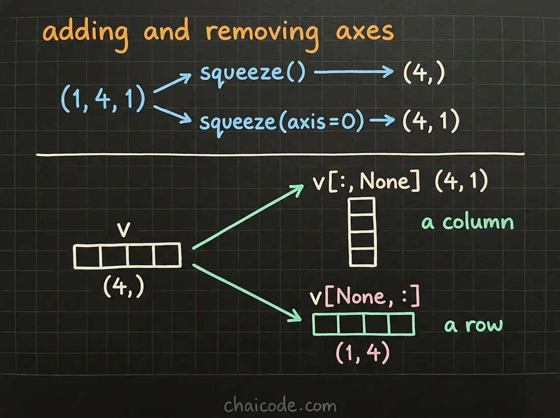 Hand-drawn notes showing squeeze removing length-one axes and None adding one, turning a flat array into either a column or a row.